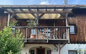 Ferienwohnung Metzner