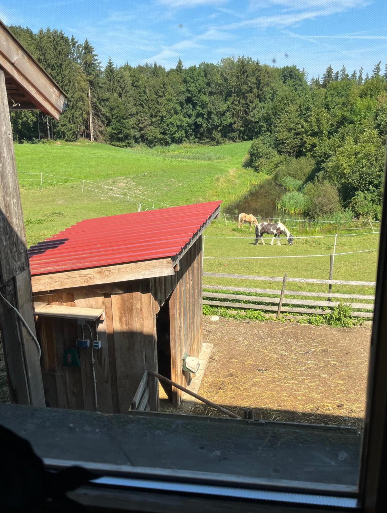 Ferienwohnung Metzner Gars Exterior foto