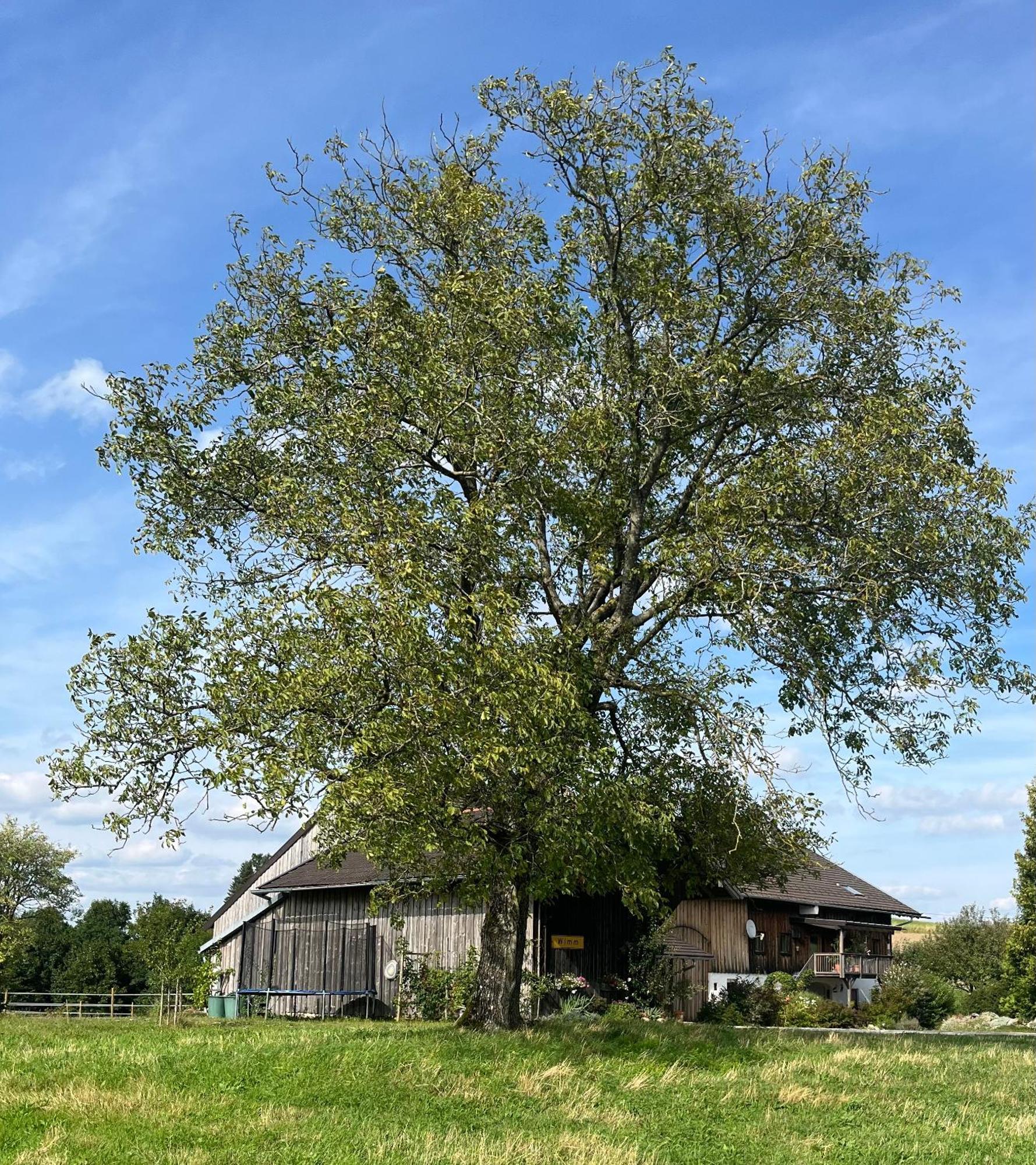 Ferienwohnung Metzner Gars Exterior foto